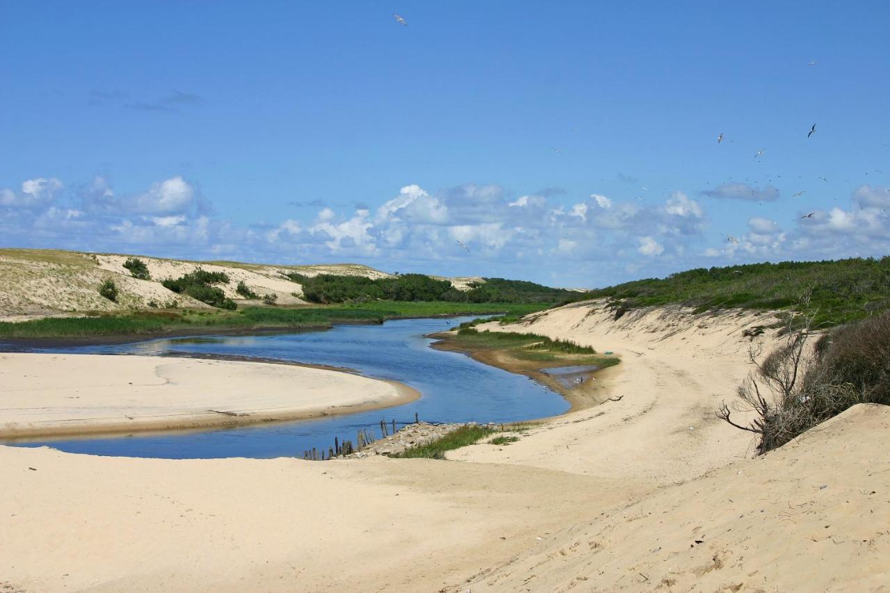 Le Hameau Des Vagues 4-5 Pers Piscines Et Nature A Moliets Exterior foto
